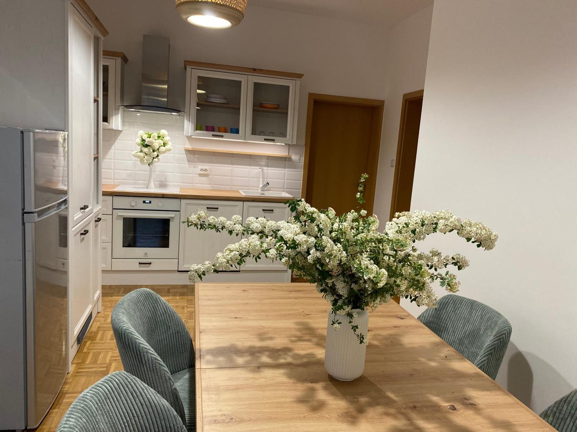 Apartma Rogatec Zewnętrze zdjęcie